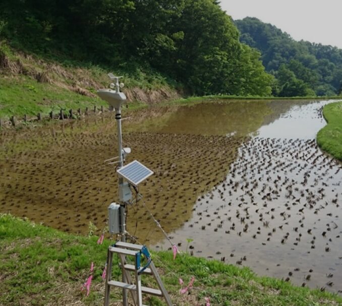 水田の現場にて、「みまわり伝書鳩」は、現場データ（気象データ・土壌データ・水質データ・異常気象）の自動計測や観測・分析、スマート農業に利用いただいています